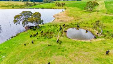 Farm For Sale - SA - Tooperang - 5255 - Reliable rain, rewarding yields - a prime opportunity on high-quality ag country.  (Image 2)