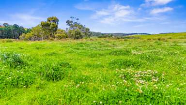 Farm For Sale - SA - Tooperang - 5255 - Reliable rain, rewarding yields - a prime opportunity on high-quality ag country.  (Image 2)