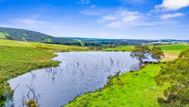 Farm For Sale - SA - Tooperang - 5255 - Reliable rain, rewarding yields - a prime opportunity on high-quality ag country.  (Image 2)