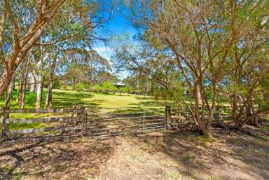 Farm For Sale - SA - Paris Creek - 5201 - Chase serenity in a charming homestead on 7 picture-perfect lifestyle acres.  (Image 2)