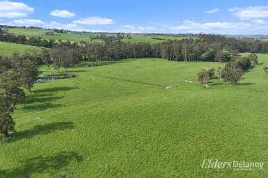 Farm For Sale - VIC - Athlone - 3818 - A Valuable Country Estate  (Image 2)