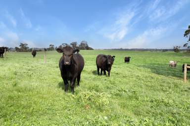 Farm Sold - VIC - Leongatha South - 3953 - Auction Notice: Prime Agricultural Property in Leongatha South  (Image 2)