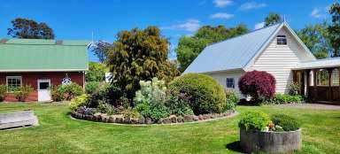 Farm For Sale - TAS - Riana - 7316 - Simply Flawless - One of a Kind - It's a Kind of Magic  (Image 2)