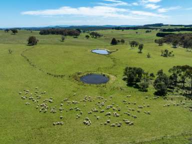 Farm Auction - NSW - Black Springs - 2787 - "Chain of Ponds" - An Outstanding Opportunity  (Image 2)