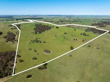 Farm Auction - NSW - Black Springs - 2787 - "Chain of Ponds" - An Outstanding Opportunity  (Image 2)