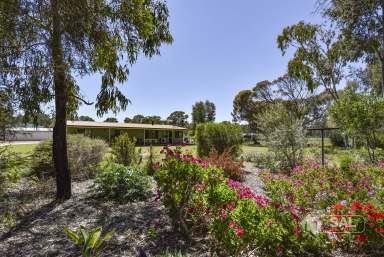 Farm For Sale - SA - Naracoorte - 5271 - 20 Acres - Lifestyle/Farmlet - Bring the Animals  (Image 2)