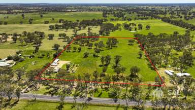 Farm For Sale - SA - Naracoorte - 5271 - 20 Acres - Lifestyle/Farmlet - Bring the Animals  (Image 2)