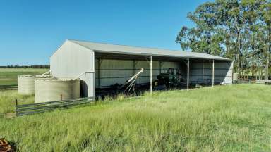 Farm For Sale - NSW - Dubbo - 2830 - Burranah, 150R Mogriguy Forest Road, Dubbo NSW  (Image 2)