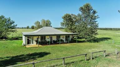 Farm For Sale - NSW - Dubbo - 2830 - Burranah, 150R Mogriguy Forest Road, Dubbo NSW  (Image 2)