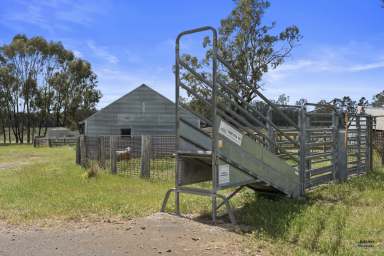 Farm For Sale - VIC - Upotipotpon - 3669 - The Complete Farm with Grazing Credentials  (Image 2)