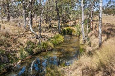 Farm For Sale - QLD - Karara - 4352 - Canal Creek Property  (Image 2)