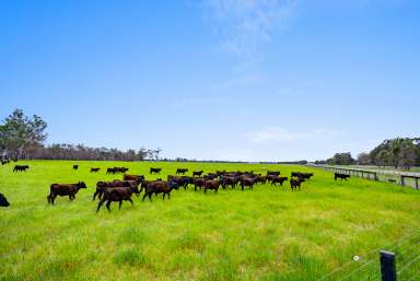 Farm For Sale - VIC - Wahring - 3608 - Scenic Goulburn Valley River-Front Acreage  (Image 2)