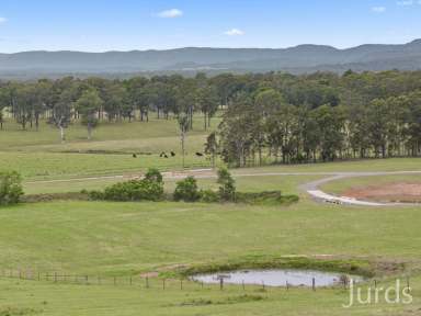 Farm For Sale - NSW - Millfield - 2325 - Stunning Sustainable Home with Breathtaking Views  (Image 2)