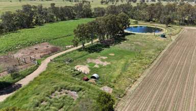 Farm For Sale - QLD - Monto - 4630 - Instant Cash Flow - Langley Flats Farming  (Image 2)