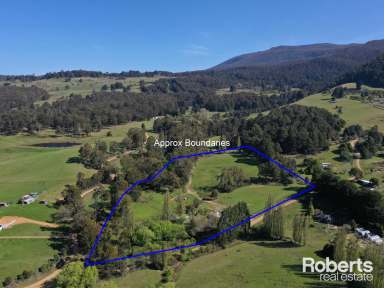 Farm For Sale - TAS - Ellendale - 7140 - Country Living at it's Best!  (Image 2)