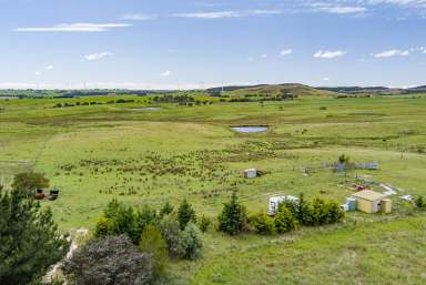 Farm Auction - NSW - Goulburn - 2580 - 100 Acres Ready For A House!  (Image 2)