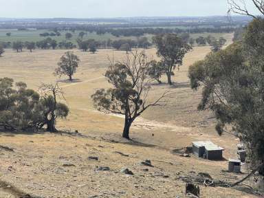 Farm For Sale - VIC - Gre Gre South - 3477 - WANT LAND - 3  TITLES ON OFFER - Buy one, two or three TAKE YOUR PICK  (Image 2)