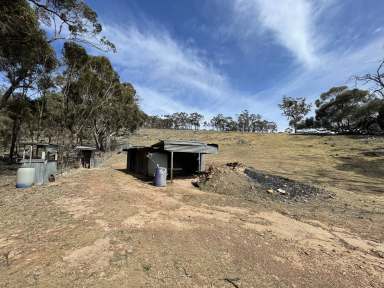 Farm For Sale - VIC - Gre Gre South - 3477 - WANT LAND - 3  TITLES ON OFFER - Buy one, two or three TAKE YOUR PICK  (Image 2)