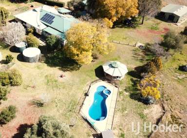 Farm Sold - NSW - Inverell - 2360 - 'Alpha' - An Ideal Hobby Farm  (Image 2)