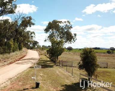 Farm Sold - NSW - Inverell - 2360 - 'Alpha' - An Ideal Hobby Farm  (Image 2)