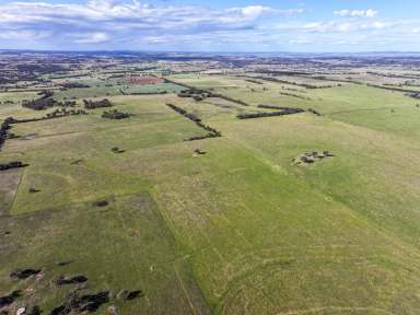 Farm For Sale - NSW - Baldry - 2867 - Red Soil and Rainfall  (Image 2)