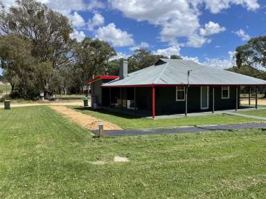 Farm For Sale - NSW - Young - 2594 - Premier Gateway Site into Young, NSW DA Approved for Vehicle Sales & Hire!  (Image 2)