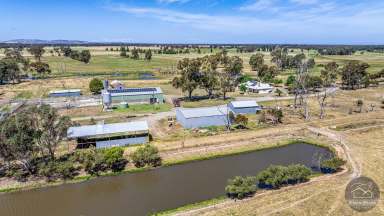 Farm For Sale - VIC - Pine Lodge - 3631 - Prime location, quality farm plan, huge potential  (Image 2)