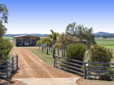 Farm For Sale - QLD - College View - 4343 - Motivated Sellers have Purchased Elsewhere!!  (Image 2)