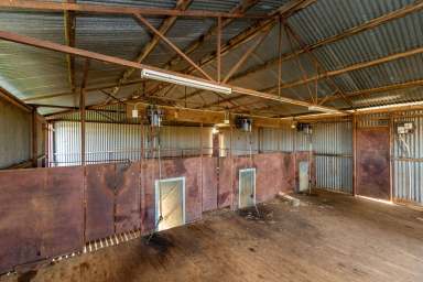 Farm For Sale - NSW - Brobenah - 2705 - RIVERINA MIXED FARMING OPPORTUNITY  (Image 2)