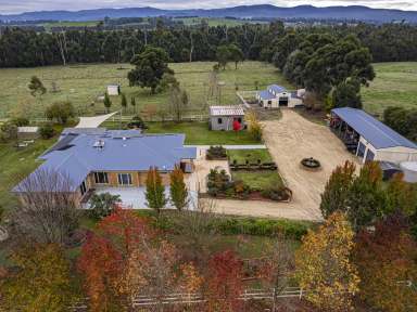 Farm For Sale - VIC - Labertouche - 3816 - LARGE HOME, 15 ACRES, QUALITY EQUINE IMPROVEMENTS  (Image 2)