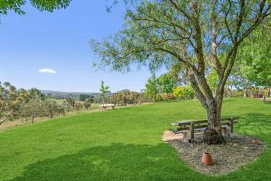 Farm For Sale - SA - Hahndorf - 5245 - A place where time stands still...  (Image 2)