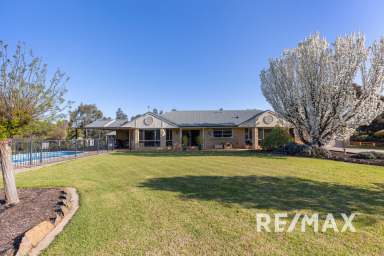 Farm For Sale - NSW - Junee - 2663 - A Family Sized Sanctuary.  (Image 2)