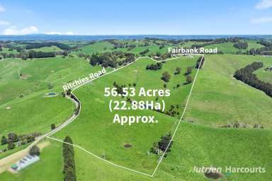 Farm For Sale - VIC - Arawata - 3951 - Charming Country Retreat in South Gippsland - Your Affordable Lifestyle Awaits!  (Image 2)