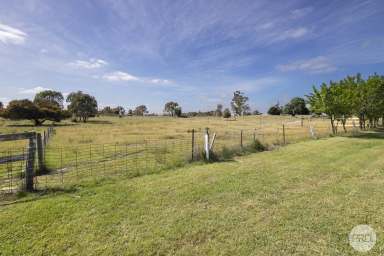 Farm For Sale - VIC - Clunes - 3370 - Buy Today, Build Tomorrow  (Image 2)