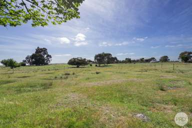 Farm For Sale - VIC - Clunes - 3370 - Buy Today, Build Tomorrow  (Image 2)