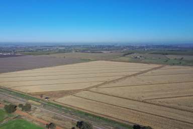 Farm For Sale - NSW - Leeton - 2705 - PRIME LAND FOR SALE  (Image 2)