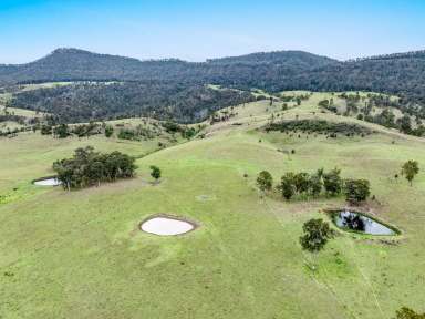 Farm Auction - QLD - Swanfels - 4371 - “DOLLAR BILL FARMS” – TRANQUIL, RURAL HIDEAWAY!  (Image 2)