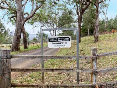 Farm Auction - QLD - Swanfels - 4371 - “DOLLAR BILL FARMS” – TRANQUIL, RURAL HIDEAWAY!  (Image 2)