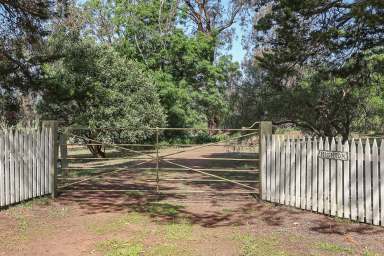 Farm For Sale - VIC - Lismore - 3324 - GRAND STATELY SOUTH WEST VICTORIAN HOMESTEAD  (Image 2)