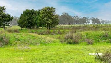 Farm For Sale - SA - Tarpeena - 5277 - Picturesque grazing land just North of Mount Gambier  (Image 2)