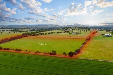 Farm For Sale - NSW - Gregadoo - 2650 - Ready to build your Dream Home  (Image 2)