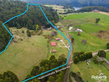 Farm For Sale - TAS - West Kentish - 7306 - Your Dream Owner Builder Renovation Awaits  (Image 2)