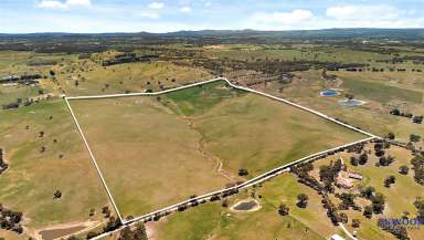 Farm For Sale - SA - Mount Pleasant - 5235 - 57.26 Ha of productive land with country views to the horizon, close to Mount Pleasant. Your country property awaits.  (Image 2)