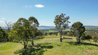 Farm For Sale - NSW - Hazelgrove - 2787 - “Highlands Retreat” – Your Blank Canvas in the Countryside  40.2 Hectares - 99.29 Acres*.  (Image 2)