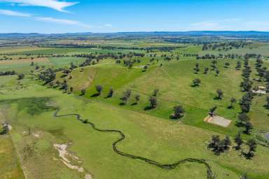 Farm For Sale - NSW - Cowra - 2794 - 233 ACRES OF HIGHLY PRODUCTIVE GRAZING AND 2.8KM OF DUAL CREEK FRONTAGE!  (Image 2)