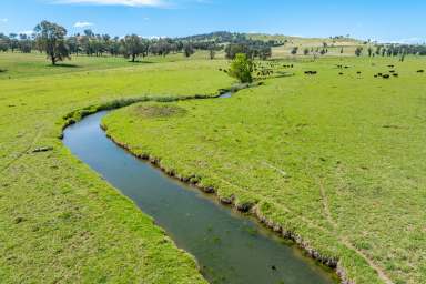 Farm For Sale - NSW - Cowra - 2794 - 233 ACRES OF HIGHLY PRODUCTIVE GRAZING AND 2.8KM OF DUAL CREEK FRONTAGE!  (Image 2)