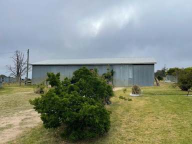 Farm For Sale - QLD - Amiens - 4380 - Is this your new home  (Image 2)