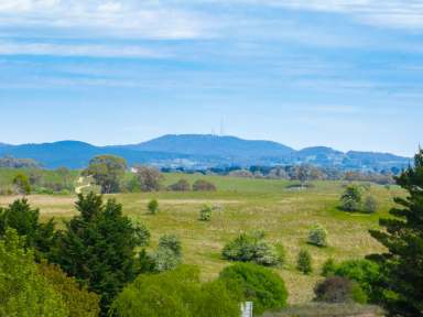 Farm Auction - NSW - Orange - 2800 - Sough After Land 10 Minutes to Orange  (Image 2)