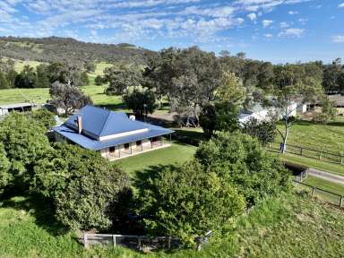 Farm For Sale - NSW - Willow Tree - 2339 - "Strathleigh" Excellent Value in Sought-after Location  (Image 2)