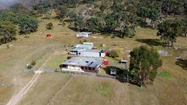 Farm For Sale - NSW - Tenterfield - 2372 - 40 Acre Country Charm  (Image 2)